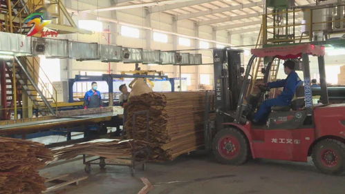 漳平 企业节后生产忙